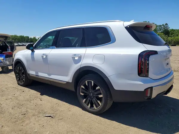 5XYP5DGC6RG551211 2024 KIA TELLURIDE - Image 2