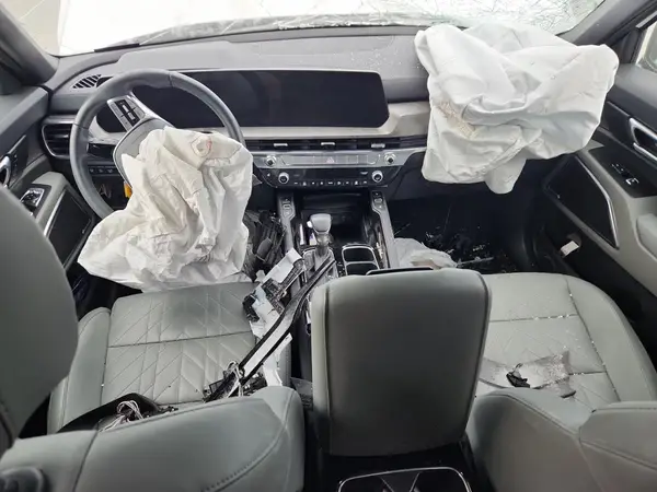 5XYP5DGC6RG553511 2024 KIA TELLURIDE - Image 8