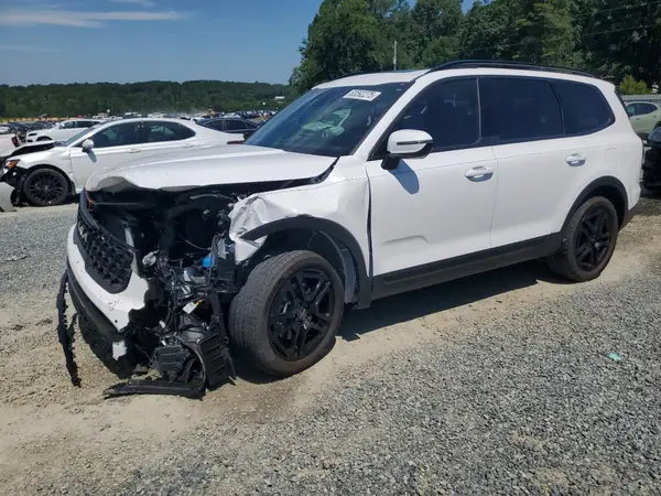 5XYP5DGC6RG554710 2024 KIA TELLURIDE - Image 1