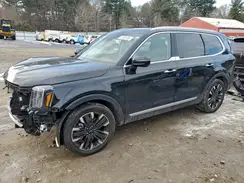 5XYP5DGC6SG578608 2025 KIA TELLURIDE