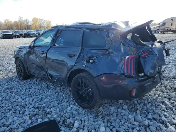 5XYP5DGC6SG606844 2025 KIA TELLURIDE - Image 2