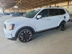 5XYP5DGC6SG617388 2025 KIA TELLURIDE
