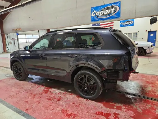 5XYP5DGC6SG646079 2025 KIA TELLURIDE - Image 2