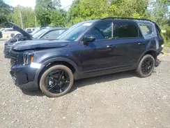 5XYP5DGC6SG647796 2025 KIA TELLURIDE