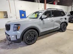 5XYP5DGC6SG704594 2025 KIA TELLURIDE