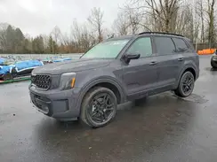 5XYP5DGC6SG732007 2025 KIA TELLURIDE
