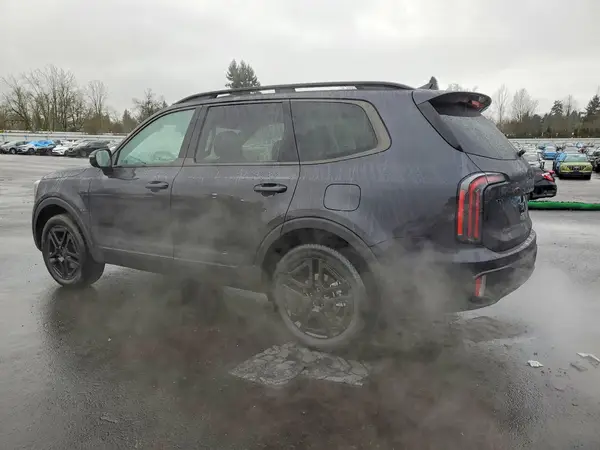 5XYP5DGC6SG732007 2025 KIA TELLURIDE - Image 2