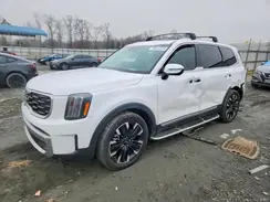 5XYP5DGC7PG350379 2023 KIA TELLURIDE