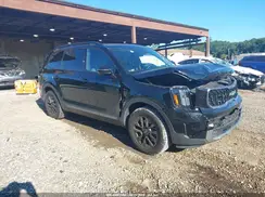 5XYP5DGC7PG352536 2023 KIA TELLURIDE