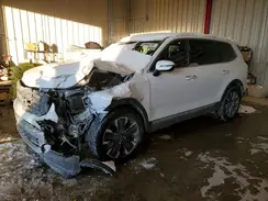 5XYP5DGC7PG359129 2023 KIA TELLURIDE