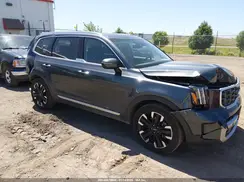 5XYP5DGC7PG377579 2023 KIA TELLURIDE