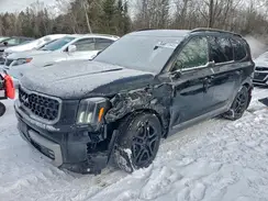 5XYP5DGC7PG383494 2023 KIA TELLURIDE