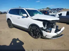 5XYP5DGC7PG407504 2023 KIA TELLURIDE