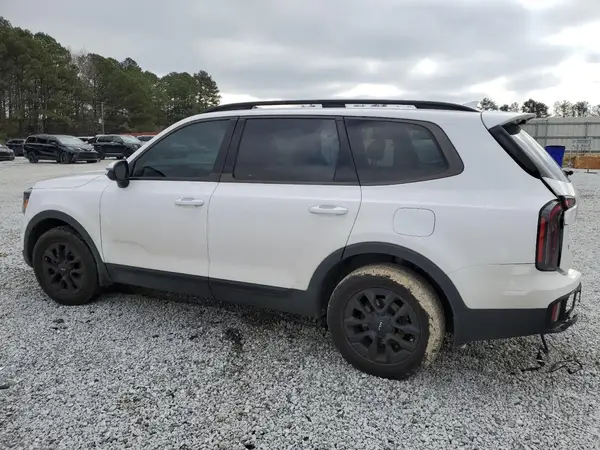 5XYP5DGC7RG420949 2024 KIA TELLURIDE - Image 2