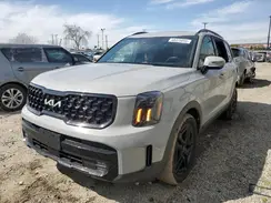 5XYP5DGC7RG431157 2024 KIA TELLURIDE