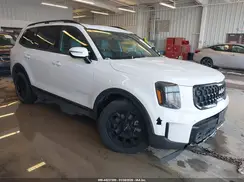 5XYP5DGC7RG445107 2024 KIA TELLURIDE