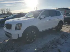 5XYP5DGC7RG447889 2024 KIA TELLURIDE