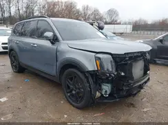 5XYP5DGC7RG451988 2024 KIA TELLURIDE
