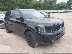 5XYP5DGC7RG458519 2024 KIA TELLURIDE