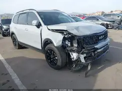 5XYP5DGC7RG465728 2024 KIA TELLURIDE