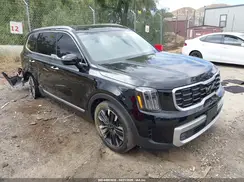 5XYP5DGC7RG470573 2024 KIA TELLURIDE