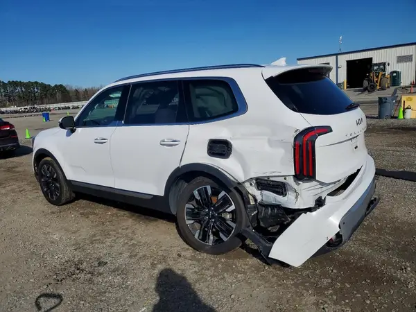 5XYP5DGC7RG477930 2024 KIA TELLURIDE - Image 2