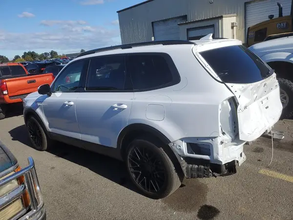 5XYP5DGC7RG488815 2024 KIA TELLURIDE - Image 2