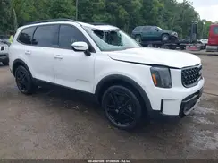 5XYP5DGC7RG510702 2024 KIA TELLURIDE