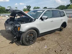 5XYP5DGC7RG514801 2024 KIA TELLURIDE