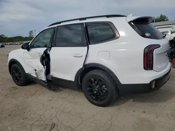 5XYP5DGC7RG515009 2024 KIA TELLURIDE - Image 2