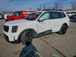 5XYP5DGC7RG528746 2024 KIA TELLURIDE