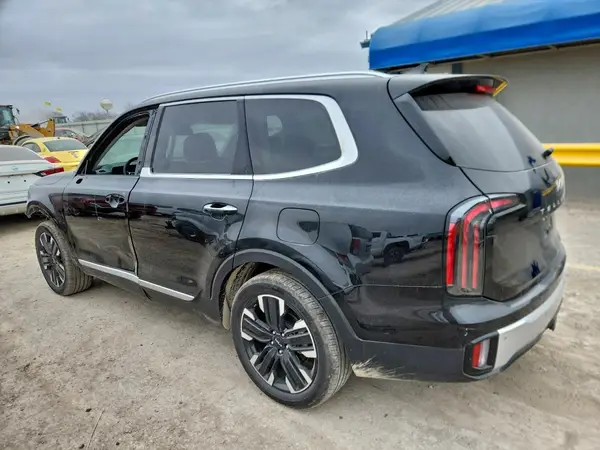 5XYP5DGC7RG533252 2024 KIA TELLURIDE - Image 2
