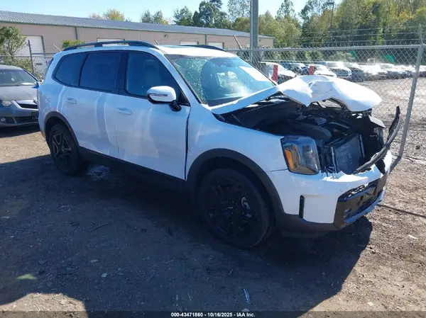 5XYP5DGC7RG535437 2024 KIA TELLURIDE - Image 1
