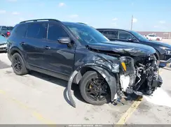 5XYP5DGC7RG536524 2024 KIA TELLURIDE