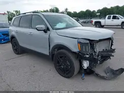 5XYP5DGC7RG541867 2024 KIA TELLURIDE