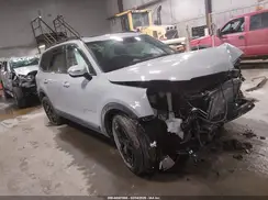 5XYP5DGC7RG542274 2024 KIA TELLURIDE