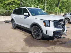 5XYP5DGC7RG550228 2024 KIA TELLURIDE