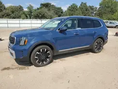 5XYP5DGC7RG551721 2024 KIA TELLURIDE
