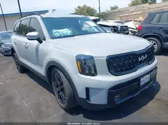 5XYP5DGC7RG564873 2024 KIA TELLURIDE