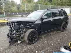 5XYP5DGC7SG573577 2025 KIA TELLURIDE
