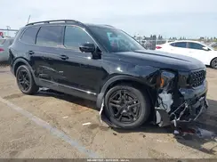5XYP5DGC7SG602141 2025 KIA TELLURIDE