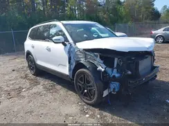 5XYP5DGC7SG619165 2025 KIA TELLURIDE