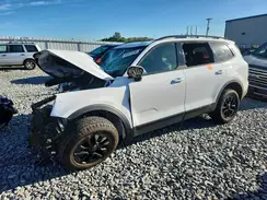 5XYP5DGC7SG653445 2025 KIA TELLURIDE