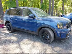 5XYP5DGC7SG659875 2025 KIA TELLURIDE
