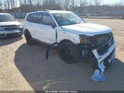5XYP5DGC8PG399543 2023 KIA TELLURIDE