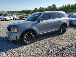 5XYP5DGC8RG411998 2024 KIA TELLURIDE