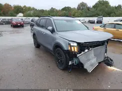 5XYP5DGC8RG428252 2024 KIA TELLURIDE