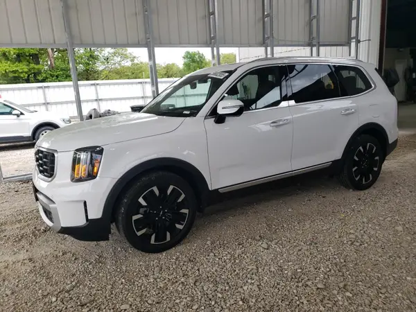 5XYP5DGC8RG431636 2024 KIA TELLURIDE - Image 1