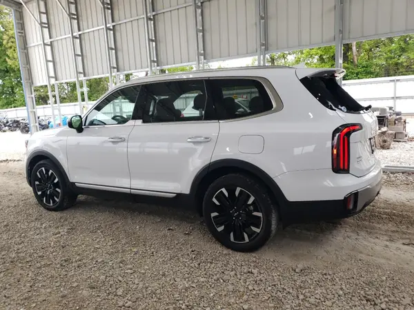 5XYP5DGC8RG431636 2024 KIA TELLURIDE - Image 2