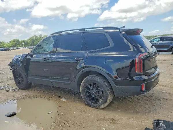 5XYP5DGC8RG453636 2024 KIA TELLURIDE - Image 2